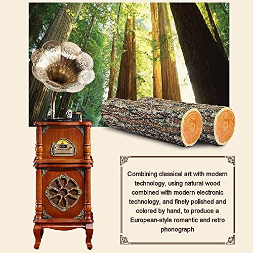 YAMMY Tourne-Disque rétro, Tourne-Disque rétro Gramophone avec Haut-parleurs sans Fil, Tourne-Disque Vinyle, Lecteur CD… - Les Beatles, Paul McCartney, John Lennon, RIngo Starr, George Harrison YAMMY Tourne-Disque rétro, Tourne-Disque rétro Gramophone avec Haut-parleurs sans Fil, Tourne-Disque Vinyle, Lecteur CD… – Image 7