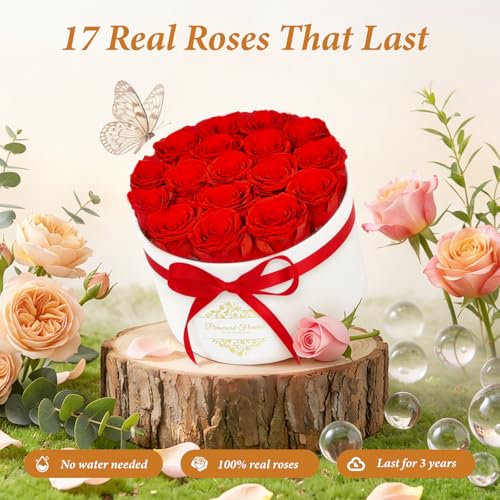 17 Forever Flowers in a Luxury Suede Box, Preserved Roses Birthday Gifts for Women, Romantic Anniversary Valentines Day Gifts for Her Girlfriend Wife, Red - Image 6
