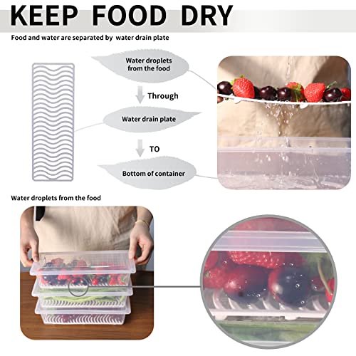 77L Food Storage Containers, (3-Pack) Plastic Food Container With Removable Drain Plate And Lid, Stackable Portable Freezer Storage Containers - Tray To Keep Fruits, Vegetables, Meat And More (Medium) #TOP1