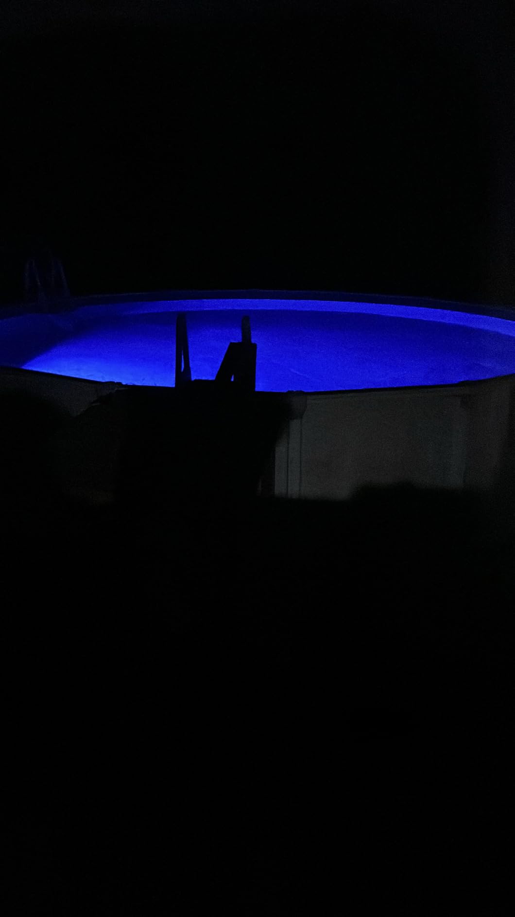 🌴 2026 HOT SALE ☀️ Premium Poolside Solar Light for Magical Backyard Nights 💦