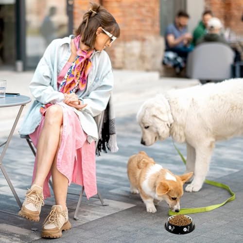 Image of PremiumAV Stainless Steel Pet Bowl 1500 ML 4 No. Size - Anti-Skid Dog & Cat Bowl with Non-Slip Rubber Base, Non-Toxic Chew-Resistant Food & Water Dish, Easy Clean Feeding Bowl for All Pets