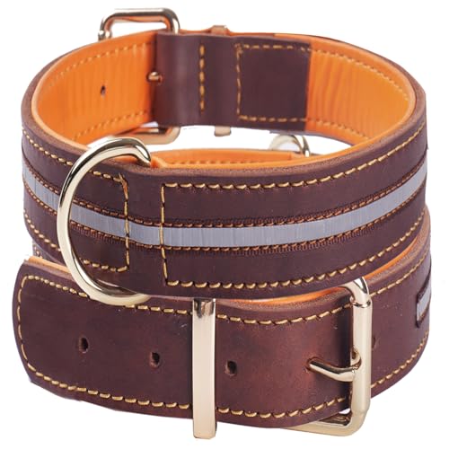 Collare per Cani in Pelle Riflettente Resistente, Regolabile e Imbottito, per Cani di Taglia Media, Grande ed Extra Large XL (Marrone)