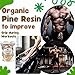 Natural Pine Gum Rosin 1 Lb, Pine Resin, Pine Resin for Beeswax Wraps, Pine Sap, Rosin for Beeswax Wraps, Rock Rosin, Rosin for Dancers, Violin Rosin, Resin for Base Ball, Gym, Rodeo and DIY Projects.