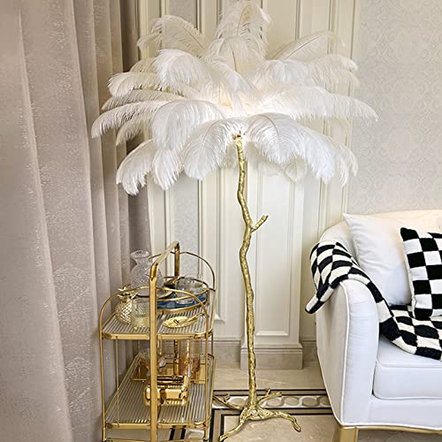 Natural Ostrich Feather Floor Lamp,Feather Lamps for Bedrooms and Living Room with Foot Switch Dimmable,Resin Feather Standing Lamp H:170cm (White) Natural Ostrich Feather Floor Lamp,Feather Lamps for Bedrooms and Living Room with Foot Switch Dimmable,Resin Feather Standing Lamp H:170cm (White)
