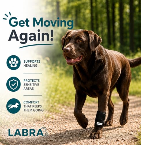 Image of Labra Dog Front Leg Brace - Compression Wrap with Adjustable Straps - Dog Wrist Brace for Support - Leg Sleeve to Stop Licking - Aid in Wound Care and Recovery - Large /Extra Large (Pack of 2)