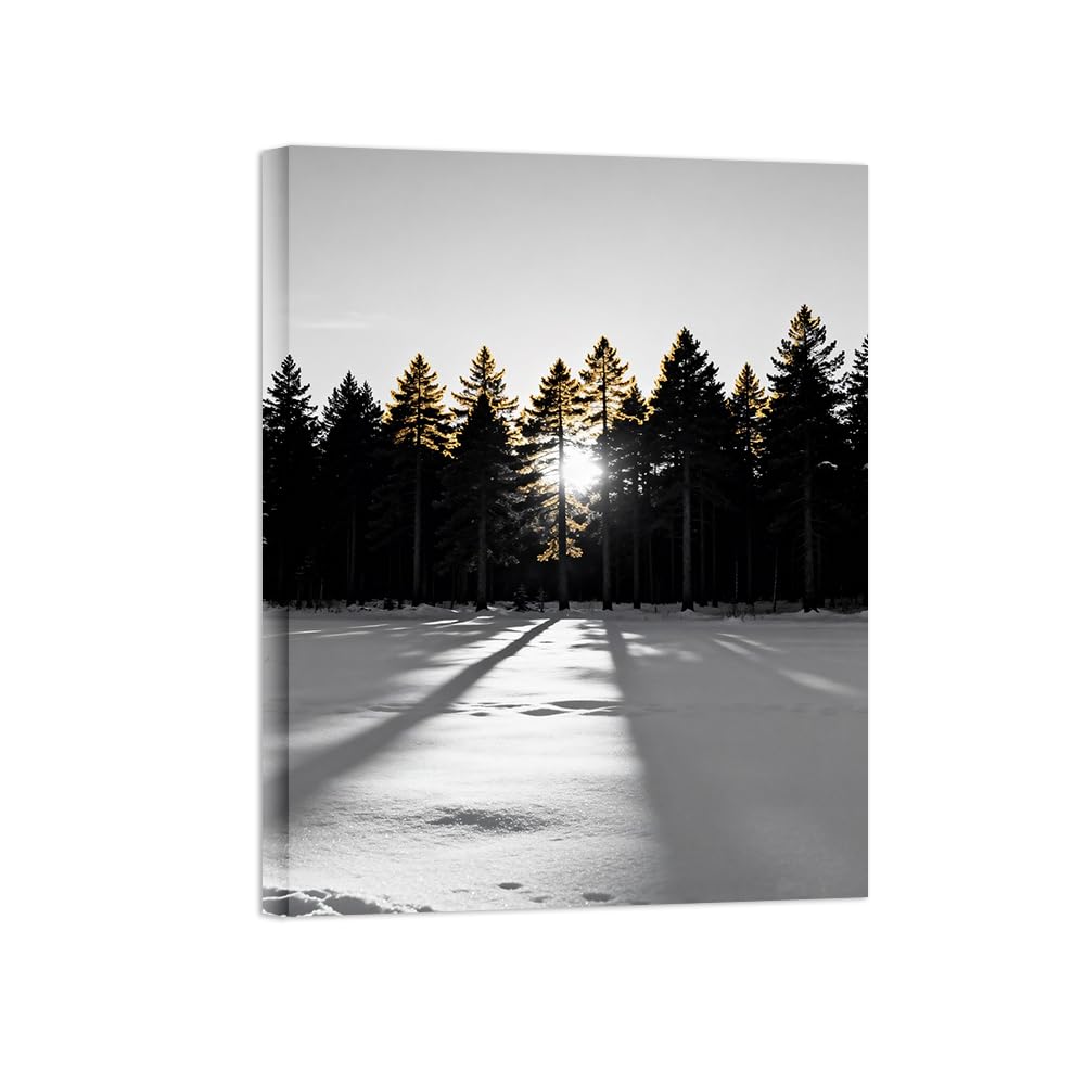 OZPWBVY Black White Landscape Wall Art. Winter Forest Tree. Picture 60x80cm Unframed