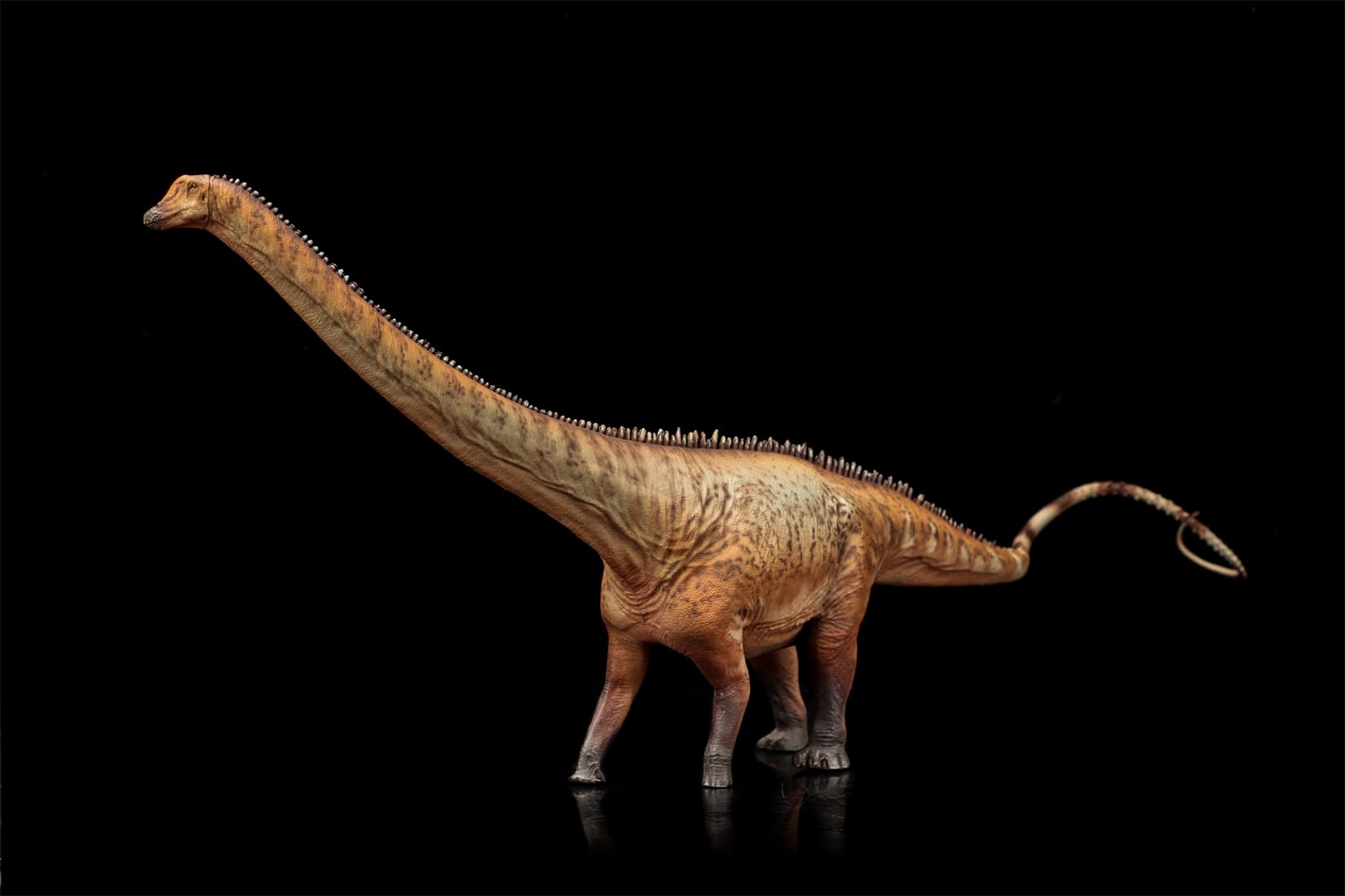 Diplodocus Modèle Dinosaure AMITD, le cadeau de collection idéal à l'échelle 1:35