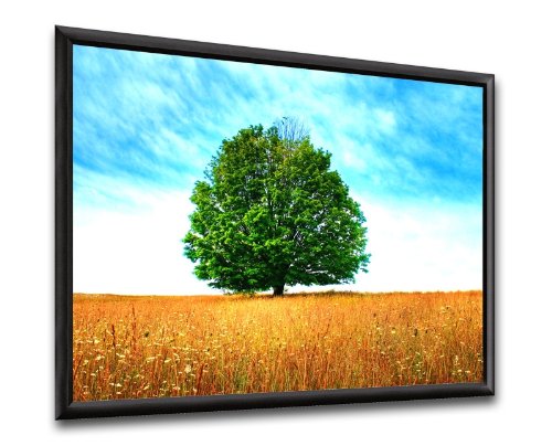 Provis Schermo fisso a cornice da interno 260x162cm 16:10 con telo microforato