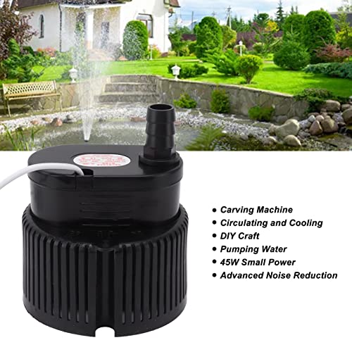 Pompe à eau calme à faible bruit et performance stable