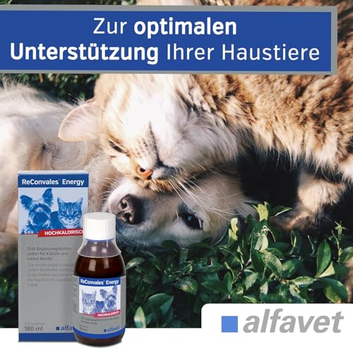 Alfavet ReConvales Energy, Doppelpack, in der Rekonvaleszenz, bei Untergewicht der Katze, hochkalorisch, appetitanregend, 2 x Glasflasche à 180ml, Diät-Ergänzungsfuttermittel