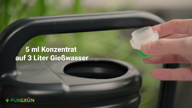 Purgrn Sonnenblumen-Dnger 1 Liter  Strahlende Blten dank Phosphor   Premium-Flssigdnger mit Spurennhrstoffen  NPK 10+8+6  Hoch ergiebiges  Konzentrat fr 200 Liter Wasser : Amazon.de: Garten