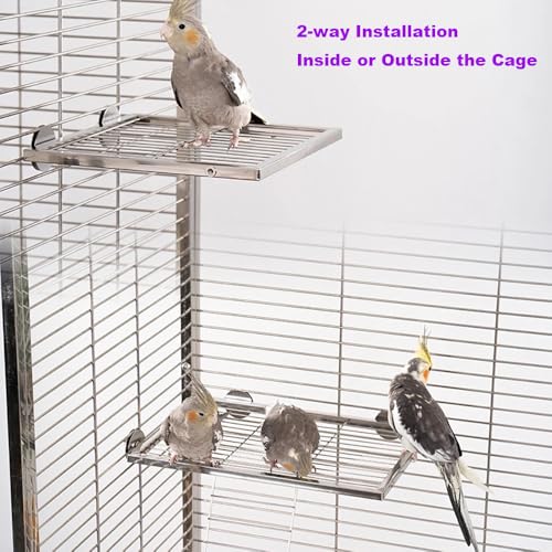 Image of Stainless Steel Bird Platform & Climbing Ladder Set (1 Platform + 1 Ladder) - Durable, Washable Cage Perch for Parakeets, Cockatiels, Conures (L)