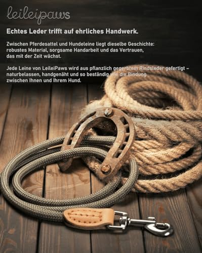 LeileiPaws Tauleine Hund – Nylon Hundeleine für kleine, mittelgroße & große Hunde – hundeleine leicht mit Schlaufe für kleinere Hunde, robuste Hundeleine große Hunde(Khaki, 2m x 0.8cm)