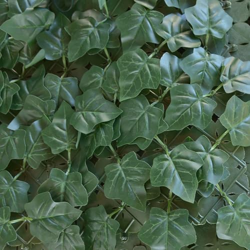 TENAX Divy Hedera Plus 100x300 cm Verde, Siepe Sintetica con Foglie in Polietilene Tipo Edera a Schermatura Totale per Balconi, Giardini e Recinzioni