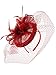 NYFASHION101 Cocktail Elegant Ruffle Flower and Feather Mesh Sinamay Fascinator Headband, CC2896-Red