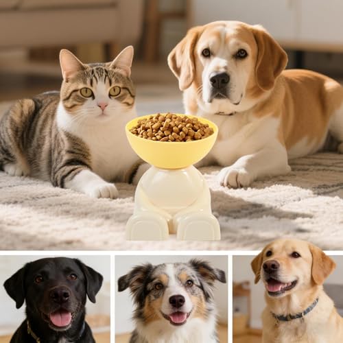 Cat Feeding Bowls – 5.71 Inch Raised Pet Food Feeding Dish | Pet Feeder Station – Secure Non Slip Pets Feeder Keeps Food Bowl in Place Prevents Spills and Ensures Smooth Mealtime for Cats & Dog - Afbeelding 6