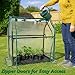 Gardzen Mini Greenhouse with Waterproof Base, Indoor/Outdoor Tabletop Greenhouse for Seed Starting, Plant Protection, Gardening & Winter Shelter, 36.2
