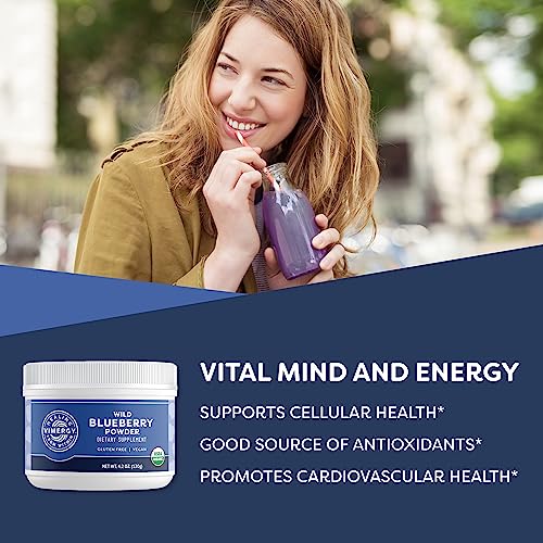Vimergy Wild Blueberry Powder: Supports Brain & Cardio Health - Organic, Vegan, Gluten-Free (125g)