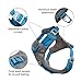 Kurgo Journey Air Dog Harness - Secure Fit for Active Dogs - Padded Chest - Lightweight Ripstop Fabric - Breathable Mesh - Reflective Trim - Back Assist Handle - Blue - Large