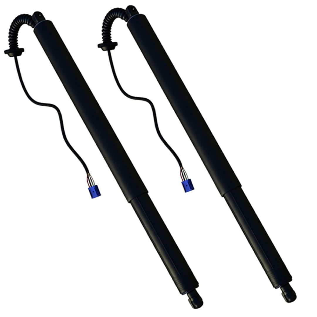 Rufutle Liftgate Struts for BYD Tang/Tang DM/Tang EV 2017-2019, Electric Tailgate Support Rod Rear Trunk Strut ST6309511/ST6309512