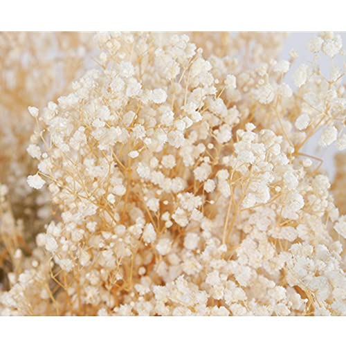 17 Inch Dried Flowers Baby's Breath Bouquet - 2000+ Ivory White Dry Flowers,Natural Gypsophila Branches For Home Decor, Wedding, Table Decor, Diy Wreath Floral, Dry Flowers Bulk For Vase #TOP1