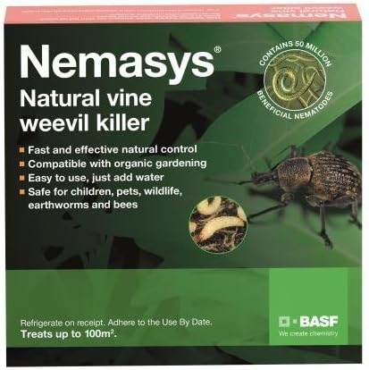 Nemasys Vine Weevil Killer 100sqm