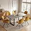 Grey Table + 6 Yellow Chairs E