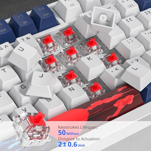 Image of 75% Mechanical Gaming Keyboard, Hot Swappable RGB Backlit Custom With Knob, Gasket Mount USB Wired, 82 Keys Blue White Linear Red Switch (82 Blue White)