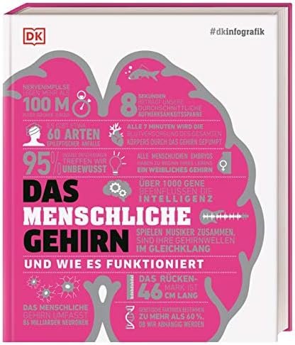#dkinfografik. Das menschliche Gehirn und wie es funktioniert