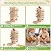 Zeewoo Montessori Toys for 3 Year Old Fine Motor Skills Toys for 5 Year Old Wooden Board Game - Educational Toys with Colorful Sticks, Dice & Stones, Family Game Gifts for Age 4 5 6 7 8 Boys Girls