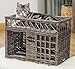 Two-Level Willow Pet House with Soft Fabric Cushion for Cat or Dog, Grey