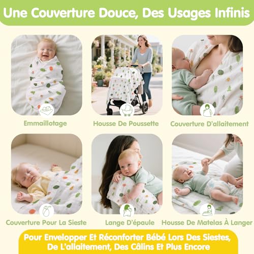 Photo complémentaire