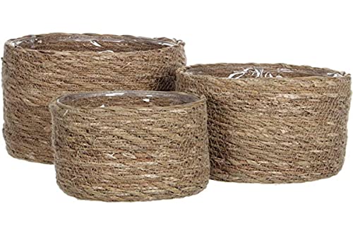 Mica Decorations 83247 Basket, Pack Of 3, Assorted Colours