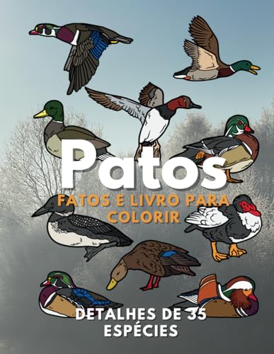 Patos: Fatos & Livro para Colorir: para crianças dos 2 aos 16 anos (Portuguese Edition)