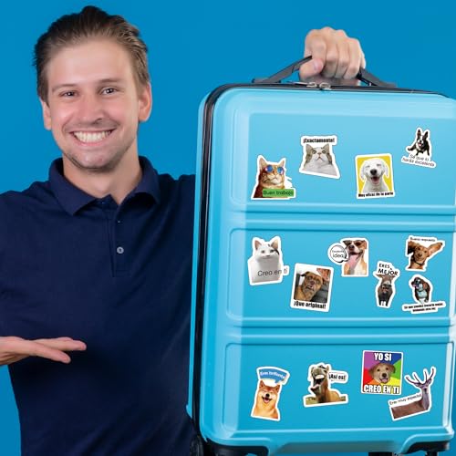 Image of Funny Spanish Cat & Dog Meme Stickers, Waterproof Vinyl Animal Decals for Water Bottles & Laptops, Hilarious Spanish Teacher Supplies & Student Gifts