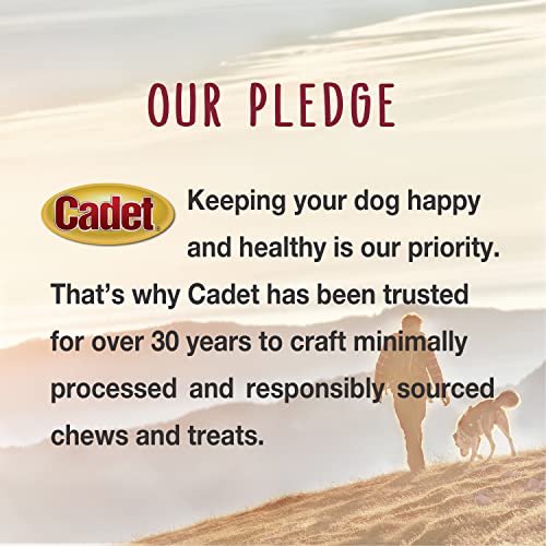 Cadet C01118 Stuffed Shin Bone - Highly Digestible, High Protein, Long-Lasting Dog Chew Bone thumb #8