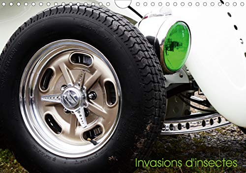 Invasion d'insectes (Calendrier mural 2021 DIN A4 horizontal): Un calendrier pour les passionnes de la Coccinelle de Volkswagen 
