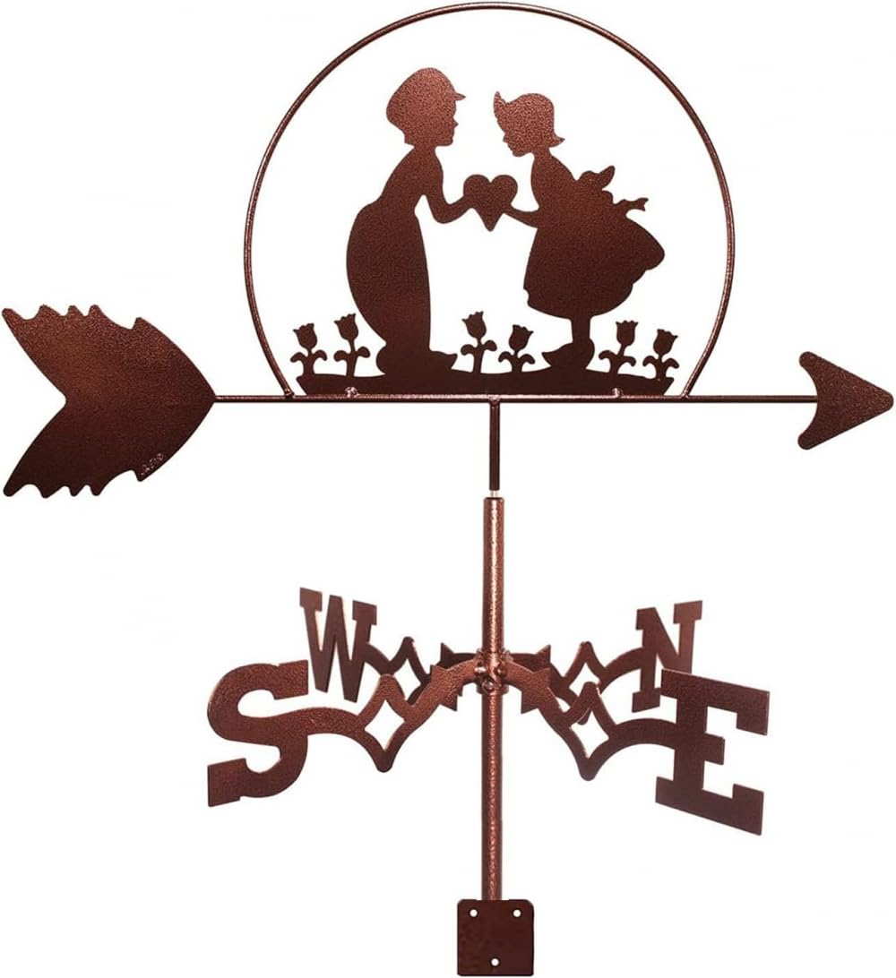 TAXXII Weather Vane,Metal Weathercock Stainless Steel with Roof Mount Garden Decoions Wind Direction Indicator for Outdoor Farm Yard Gazebo