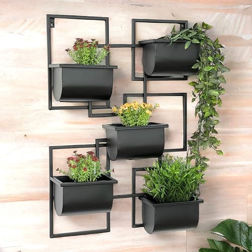 DanDiBo Kräuterregal Küche Wand Metall Schwarz 96525 Wandregal Blumenregal Pflanzenhalter Wandblumenhalter Modern