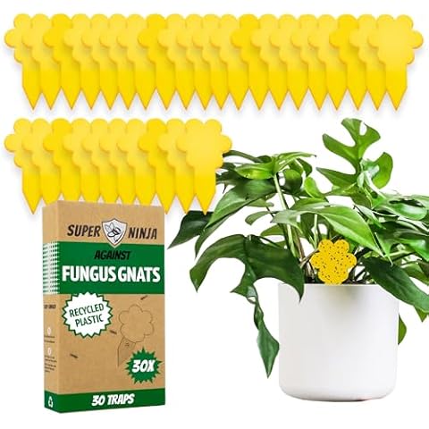 Super Ninja Fungus Gnat Killer Traps - 30 Pack Cover