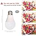 12V LED Light Bulb 7W 630Lm AC/DC10-30Volt Low Voltage E26 Base (2700K Warm White)40-60 Watt A19 Bulbs Equivalent,Landscape Garden Yard, 12volt Battery Power System Off Grid Solar Lighting,6 Pack