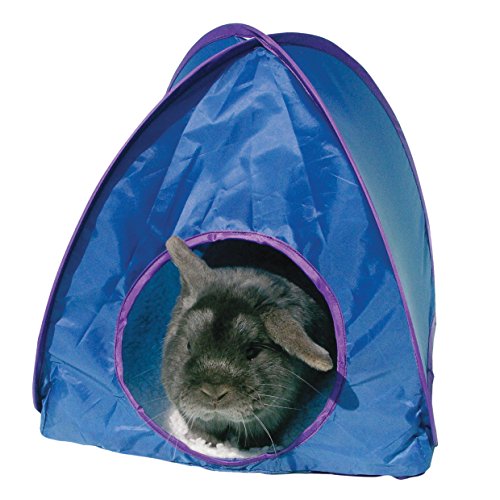 Rosewood Kleine dieren activiteit speelgoed pop-up tent verveling Breaker, diverse kleuren/groot
