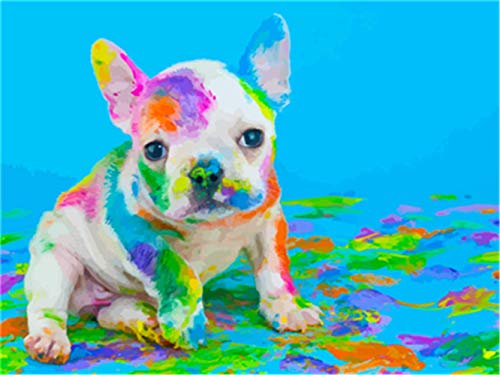 YEESAM ART Pintura al óleo DIY por números adultos niños, pintura de números de perro de colores a partir de 5 óleos, arte de pared (perro, con marco)