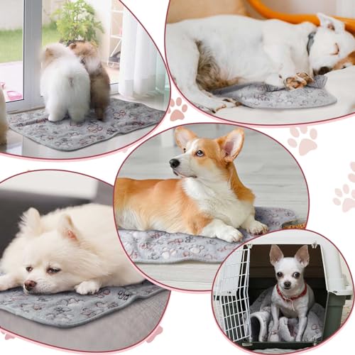 Image of Reginary 4 Pcs Waterproof Guinea Pig Blankets Washable Small Animal Fleece Bedding Absorbent Guinea Pig Cage Liners Reusable Pet Pee Pad Sleep Mat for Hamster Ferret (Adorable Paw,12 x 12 Inch)