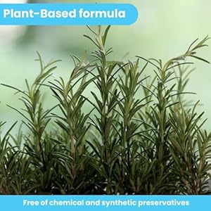 Pawtitas Natural Dog Toothpaste Powder Prevents Tartar Plaque Gum Disease Bad Breath a Natural Pet Dental Care and breath freshener for Dogs 4 OZ Bottle