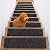 TreadSafe Carpet Stair Treads Non-Slip I 8"x30" Set of 15 I Charcoal Black I Non Slip Backing I Stair Runner for Safety - Elders, Kids, and Dogs ((15 Pack) Charcoal Color