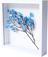 Vista 12 de KAPIX Caja Expositora Shadow Box Pequeña de 4x6 Pulgadas con Marco de Fotos de Vidrio Real, Caja de Exhibición de Madera Profunda para Flores