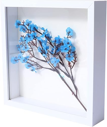 Miniatura 12 de KAPIX Caja Expositora Shadow Box Pequeña de 4x6 Pulgadas con Marco de Fotos de Vidrio Real, Caja de Exhibición de Madera Profunda para Flores