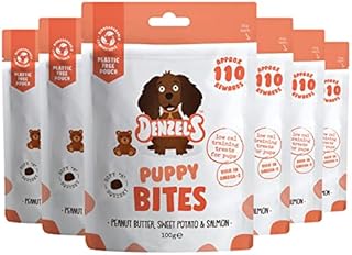 Denzel's Bites, Natural Puppy Treats - Soft Baked Dog Training Treats - Salmon & Peanut Butter - Healthy Dog Treats Multipack (6 x 100g)