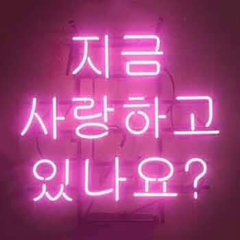 ネオンサイン　韓国　ハングルネオン管2つ ネオンサイン 韓国 ハングルネオン管2つ ネオンサイン 韓国 ハングル